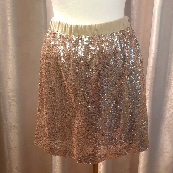 2 Sequin Mini Skirts - Picture 3 of 5